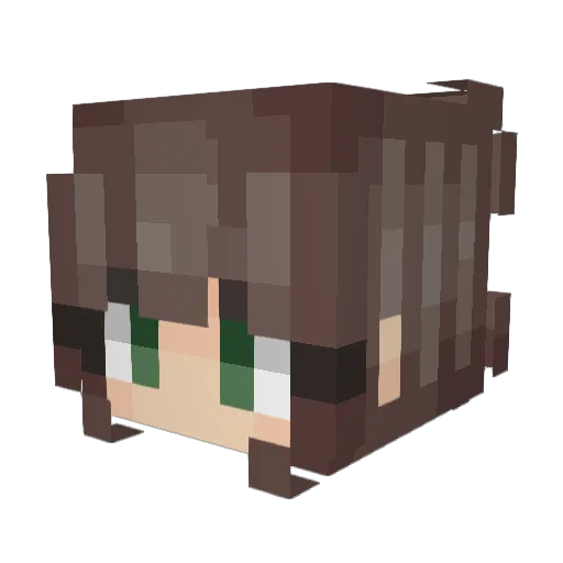 Colopeg Minecraft avatar head, 3D render