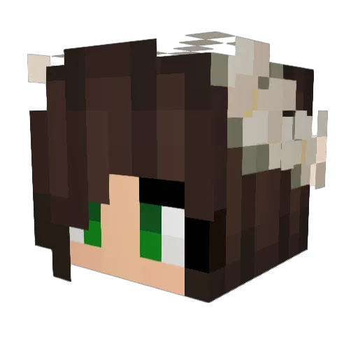 ColorfulArii Minecraft avatar head, 3D render