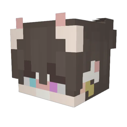ColorfulCoyote Minecraft avatar head, 3D render