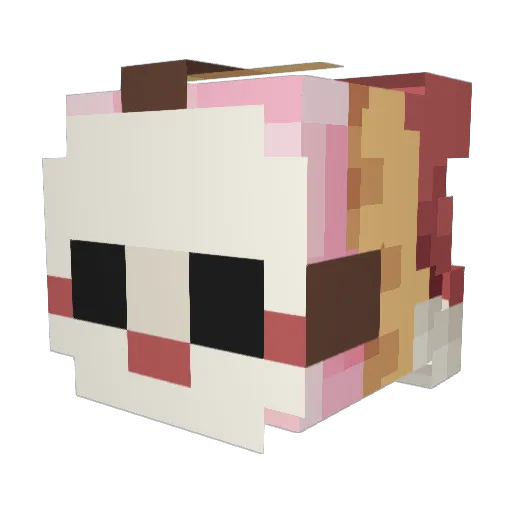 Colorful_Rain Minecraft avatar head, 3D render