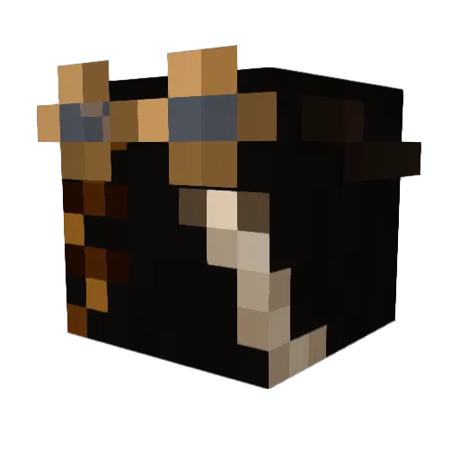 ColorlessTophat Minecraft avatar head, 3D render