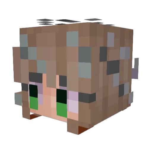 Colourful77 Minecraft avatar head, 3D render