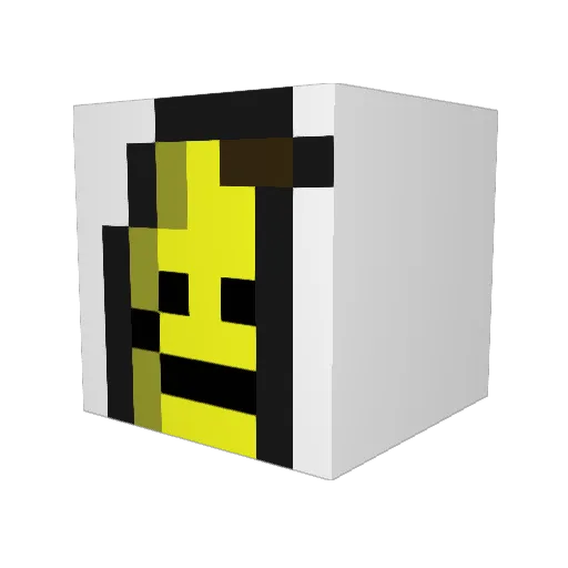 Colrb1ind Minecraft avatar head, 3D render