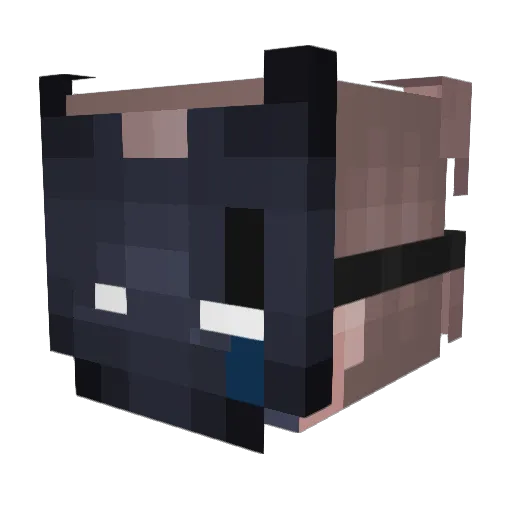 Coltact Minecraft avatar head, 3D render
