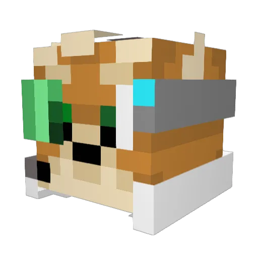 Coltan7980 Minecraft avatar head, 3D render