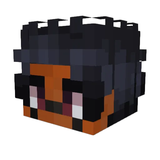 ColtonAshe Minecraft avatar head, 3D render