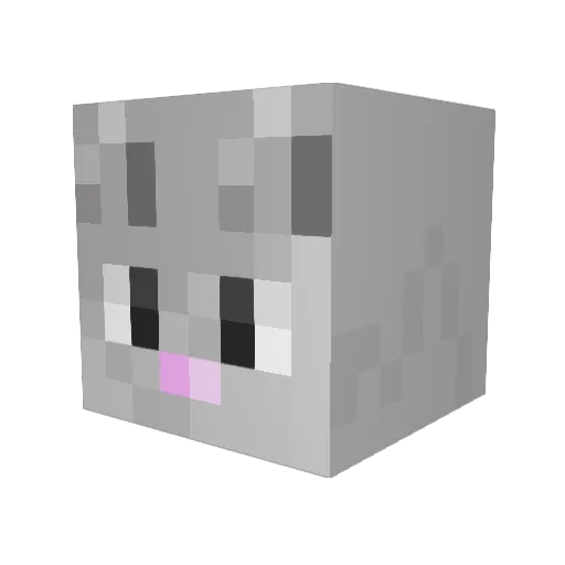 ColtonTheCat Minecraft avatar head, 3D render