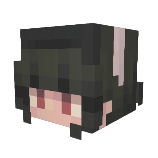 Colton_0303 Minecraft avatar head, 3D render