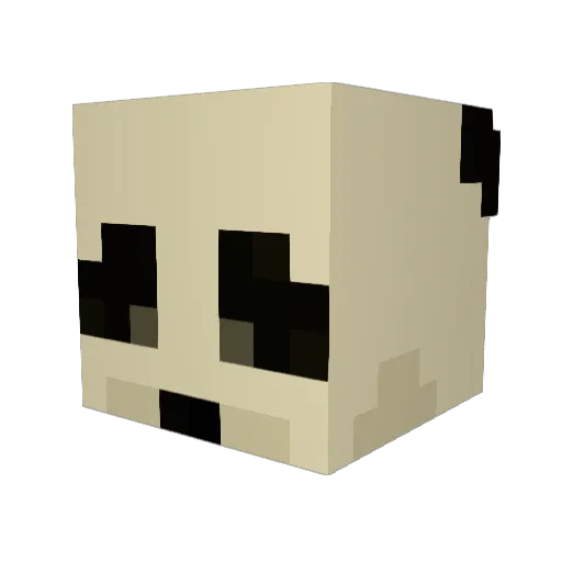 ColtonisWright Minecraft avatar head, 3D render
