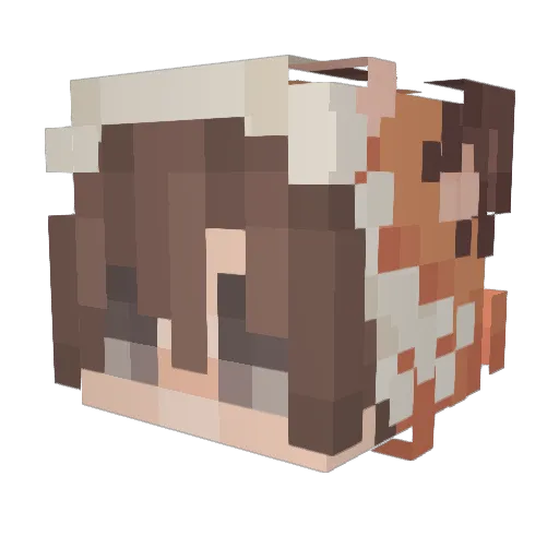 ColttyBlaws__ Minecraft avatar head, 3D render