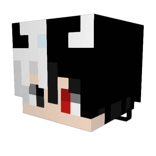 ColuiCheOsserva9 Minecraft avatar head, 3D render