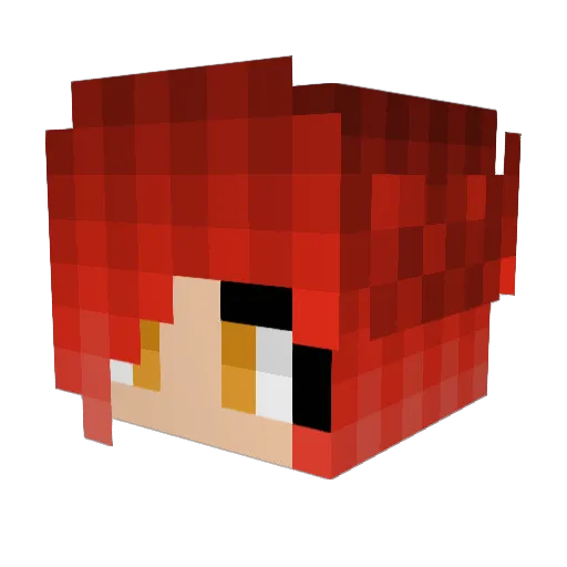 Columbiia Minecraft avatar head, 3D render