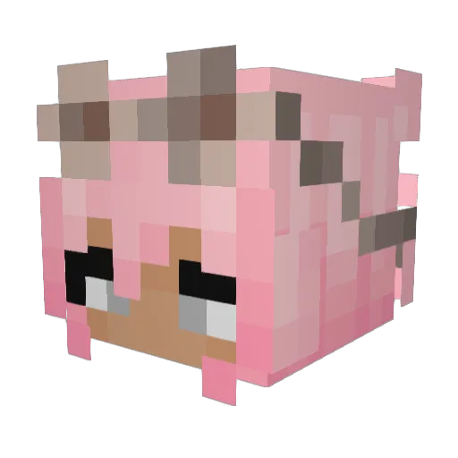 Colurz Minecraft avatar head, 3D render