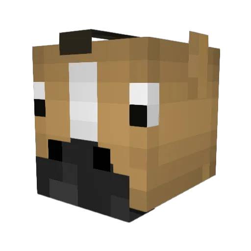 ComBoyCatBoy67 Minecraft avatar head, 3D render