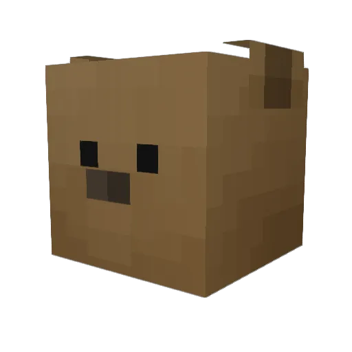Comander71 Minecraft avatar head, 3D render