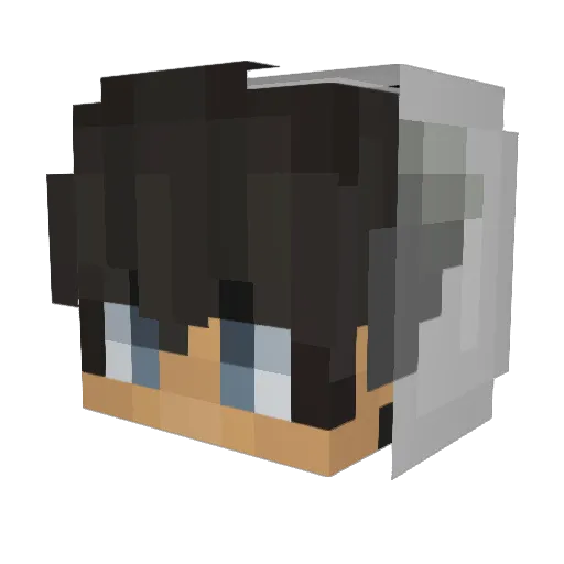 ComanderDuck Minecraft avatar head, 3D render