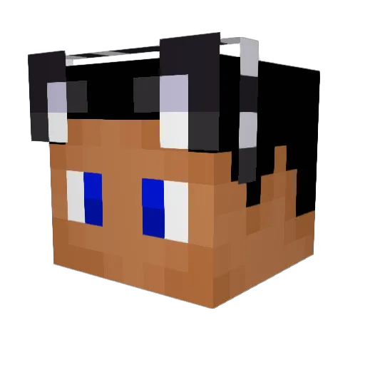 ComanderLayZ Minecraft avatar head, 3D render