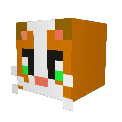 CombatCat Minecraft avatar head, 3D render