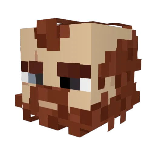 CombatDwarf7111 Minecraft avatar head, 3D render