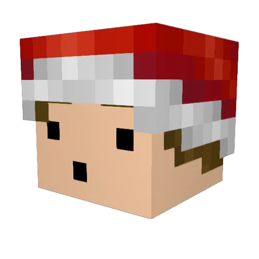 CombatKaKtus Minecraft avatar head, 3D render