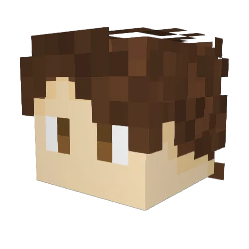 CombatWombat12 Minecraft avatar head, 3D render