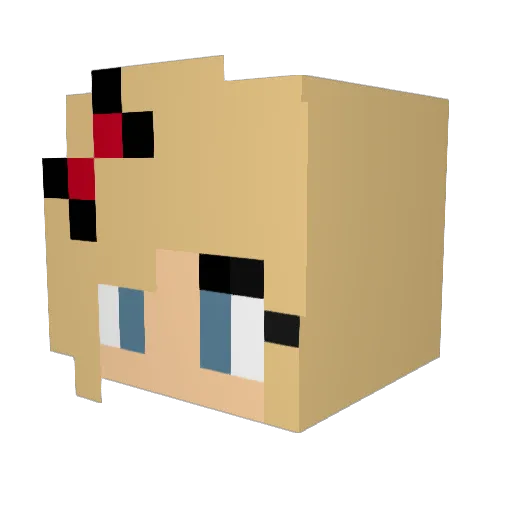Combat_Wombat2 Minecraft avatar head, 3D render
