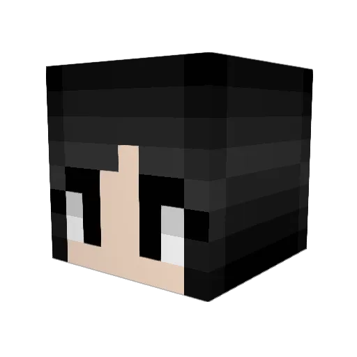 Combat__Wombat__ Minecraft avatar head, 3D render