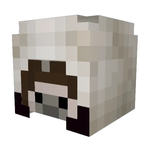 CombatleaderZ Minecraft avatar head, 3D render
