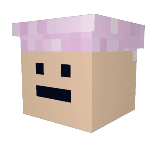 Combatmako Minecraft avatar head, 3D render