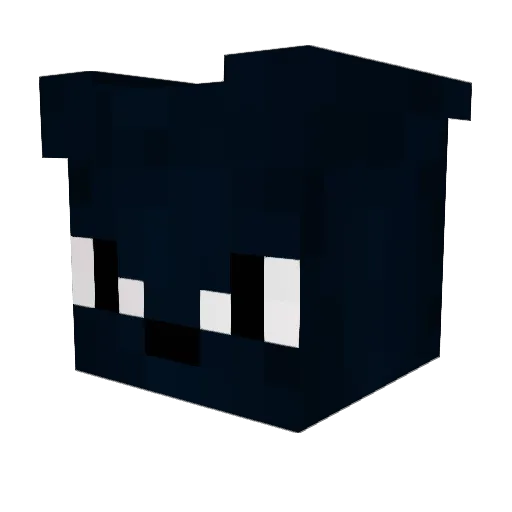 ComboNaRavina Minecraft avatar head, 3D render