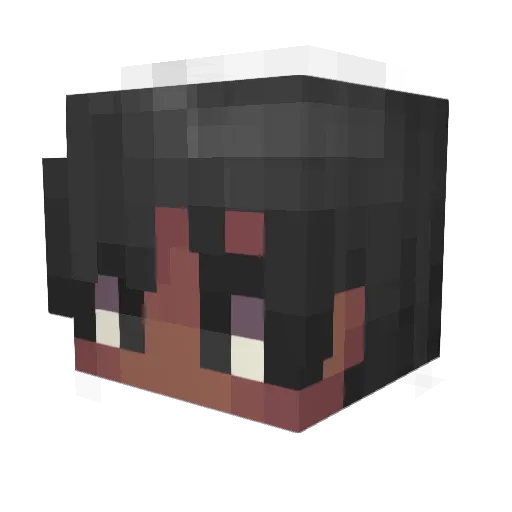 Combonadian Minecraft avatar head, 3D render