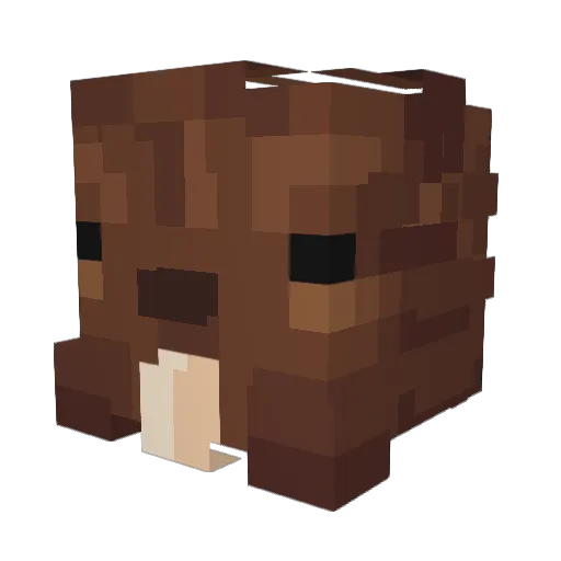 ComeOnShunR Minecraft avatar head, 3D render
