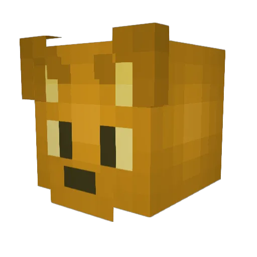 Comerade25 Minecraft avatar head, 3D render