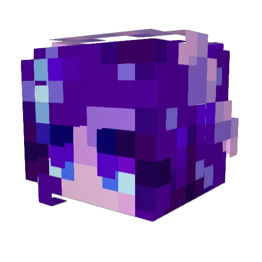 CometSlayer423 Minecraft avatar head, 3D render