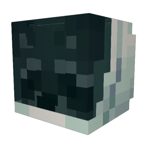 Comet_Bandit Minecraft avatar head, 3D render
