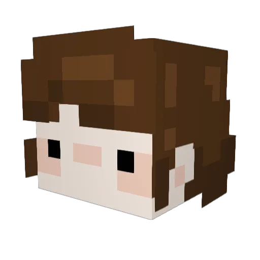 Comets_Roses Minecraft avatar head, 3D render