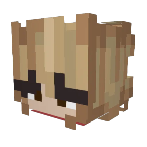 ComfyWasTaken Minecraft avatar head, 3D render