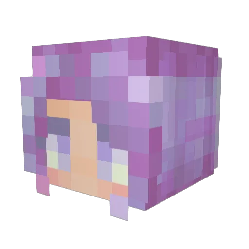 Comfybot Minecraft avatar head, 3D render