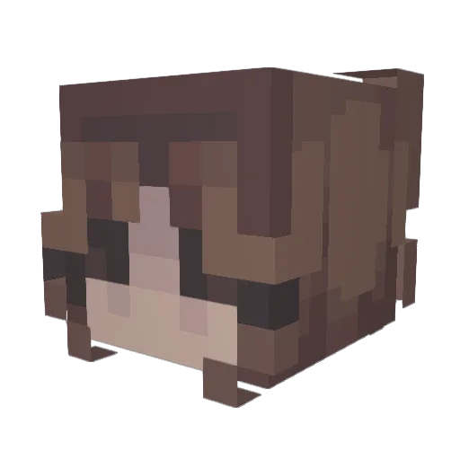 ComicWarrior222 Minecraft avatar head, 3D render