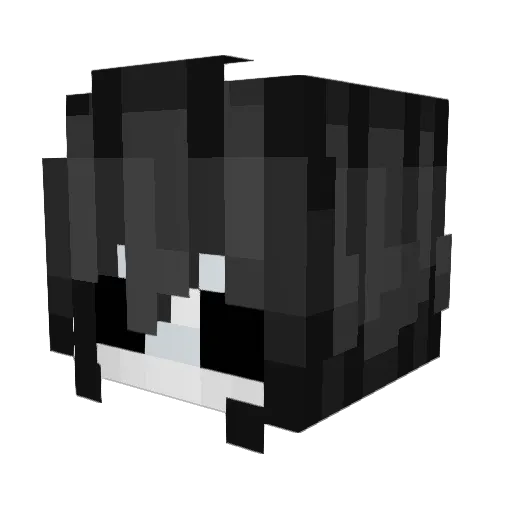 Comic_Snas Minecraft avatar head, 3D render