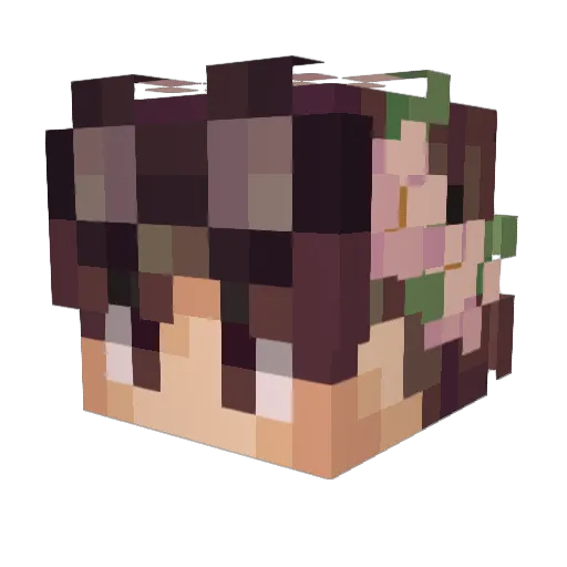 Comikat Minecraft avatar head, 3D render