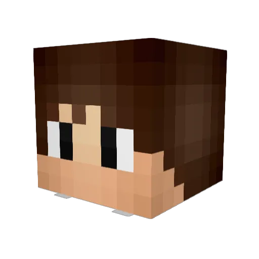 Commander2009 Minecraft avatar head, 3D render