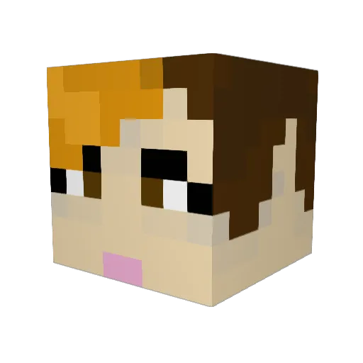 CommanderBoxo Minecraft avatar head, 3D render