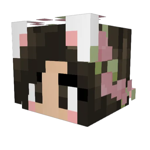 CommanderCamm Minecraft avatar head, 3D render