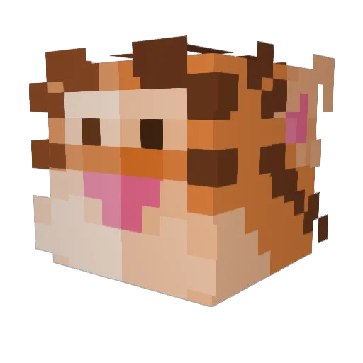 CommanderHarris Minecraft avatar head, 3D render
