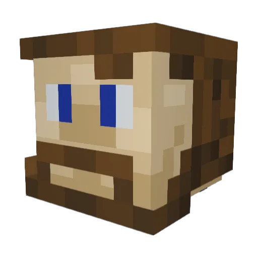 CommanderHuggins Minecraft avatar head, 3D render