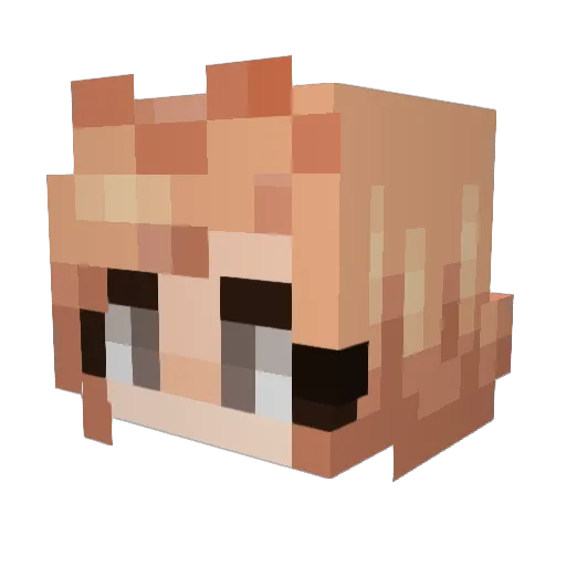 CommanderS17 Minecraft avatar head, 3D render
