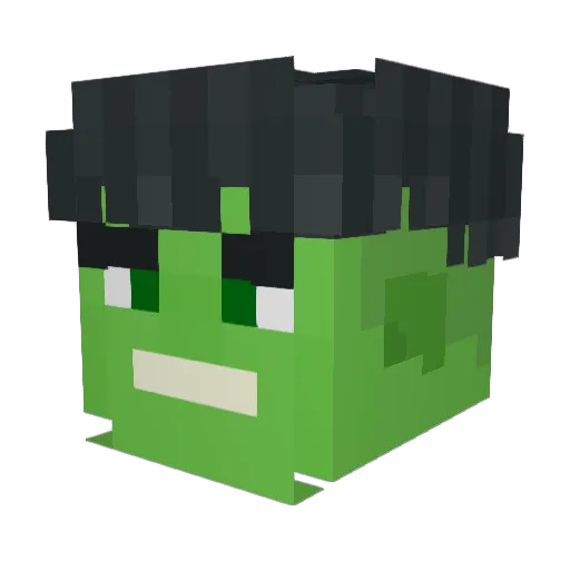CommanderSludge Minecraft avatar head, 3D render