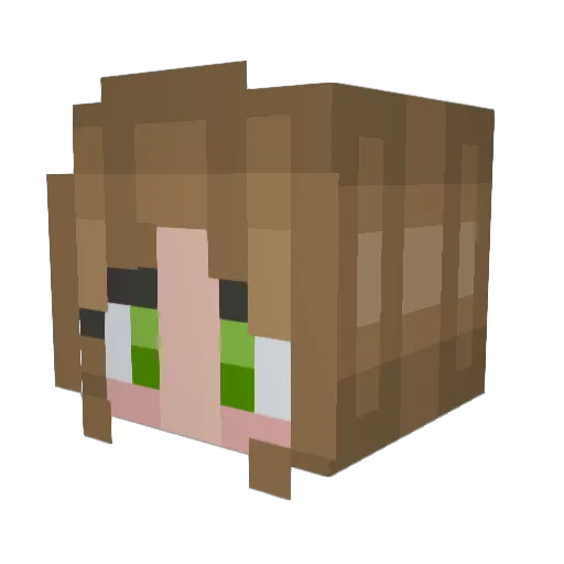 CommanderSwag Minecraft avatar head, 3D render