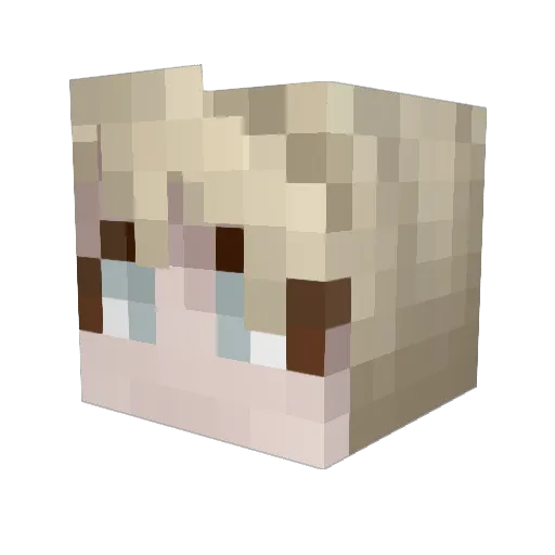 CommanderWolf Minecraft avatar head, 3D render